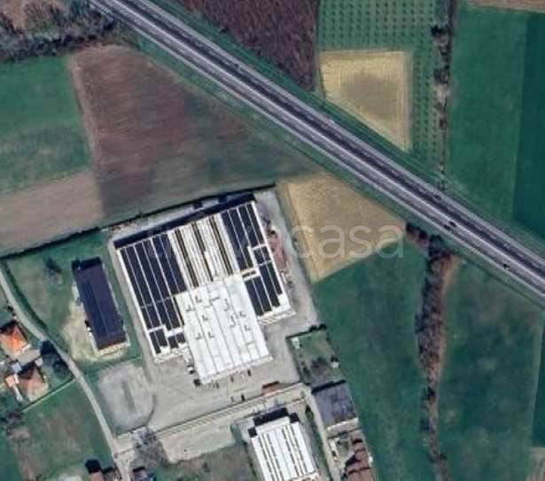 terreno agricolo in vendita a Castiglione del Lago