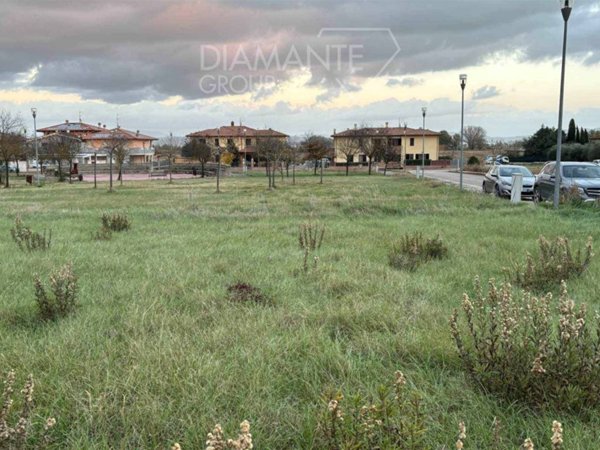 terreno agricolo in vendita a Castiglione del Lago