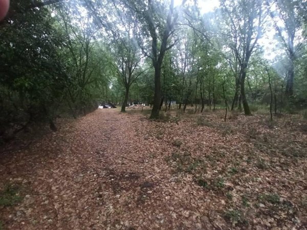 terreno agricolo in vendita a Castiglione del Lago