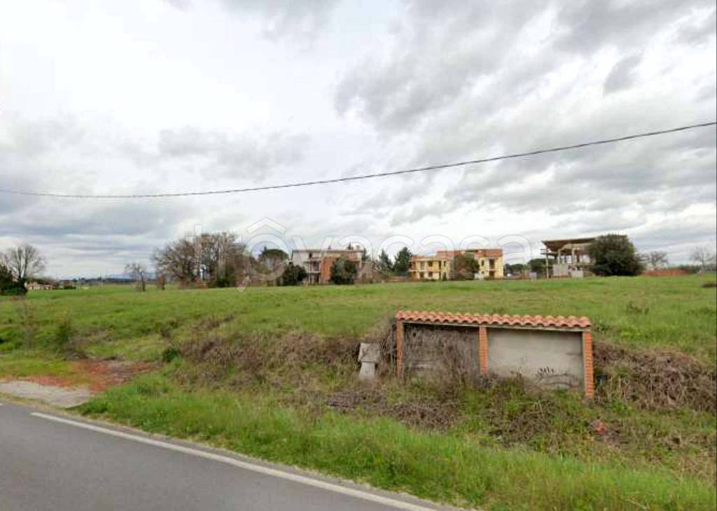 terreno agricolo in vendita a Castiglione del Lago in zona Macchie