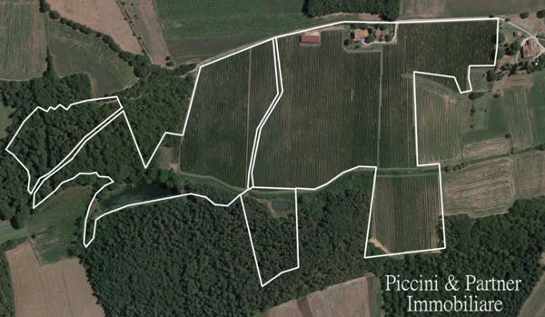 azienda agricola in vendita a Castiglione del Lago in zona Piana