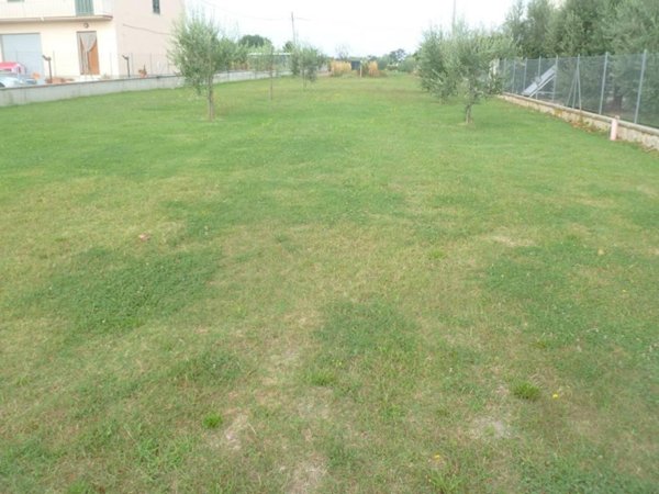 terreno edificabile in vendita a Castiglione del Lago