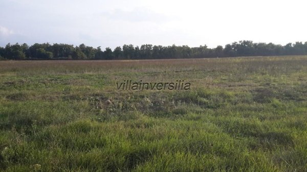 casa indipendente in vendita a Castiglione del Lago