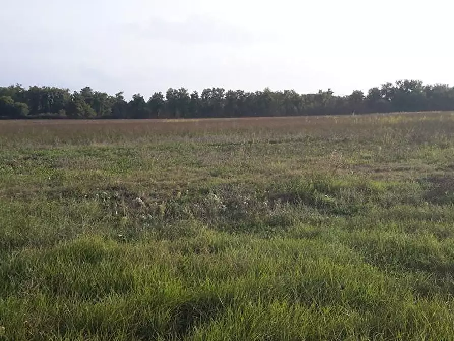 casa indipendente in vendita a Castiglione del Lago