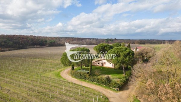 ufficio in vendita a Castiglione del Lago