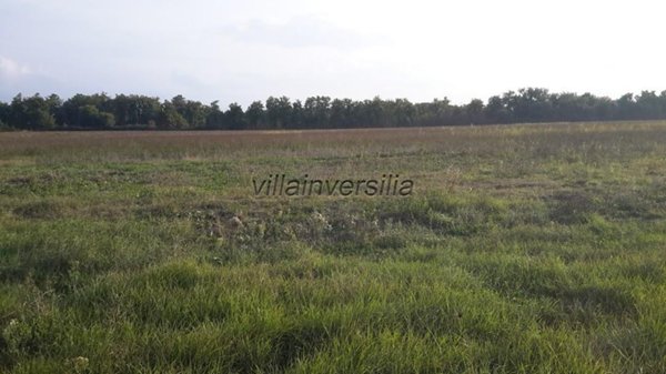 casa indipendente in vendita a Castiglione del Lago