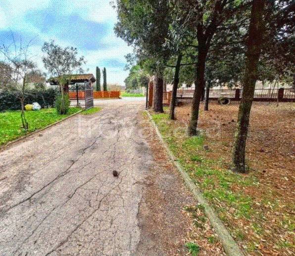 appartamento in vendita a Castiglione del Lago