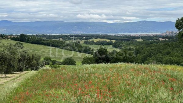 terreno agricolo in vendita a Castiglione del Lago