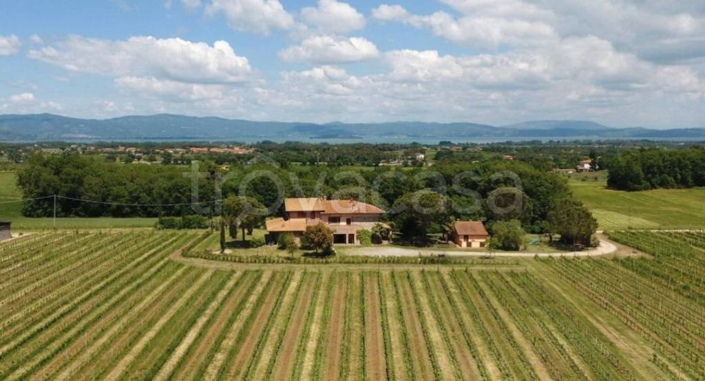 casa indipendente in vendita a Castiglione del Lago