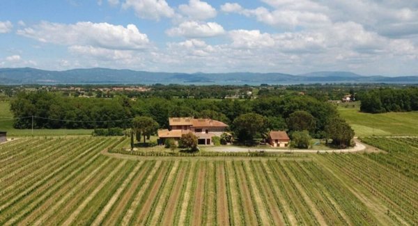 casa indipendente in vendita a Castiglione del Lago