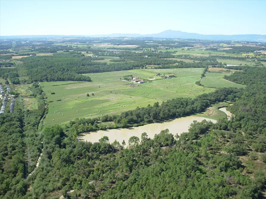 azienda agricola in vendita a Castiglione del Lago
