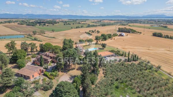 negozio in vendita a Castiglione del Lago