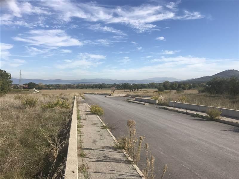 terreno agricolo in vendita a Castiglione del Lago