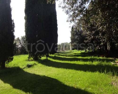 casa indipendente in vendita a Castiglione del Lago