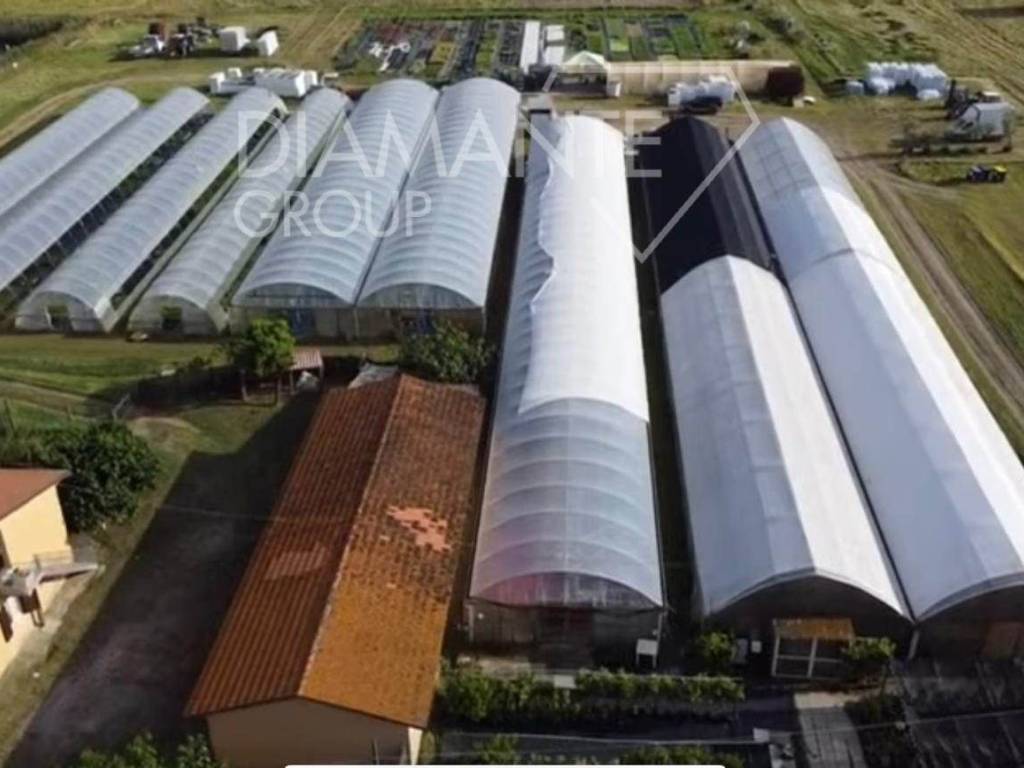 casa indipendente in vendita a Castiglione del Lago