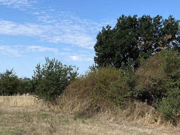 casa indipendente in vendita a Castiglione del Lago in zona Casamaggiore