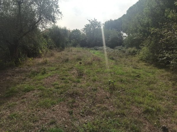 appartamento in vendita a Castiglione del Lago