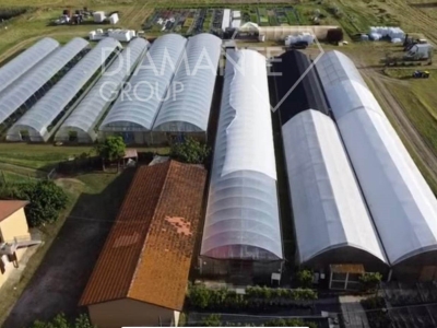 azienda agricola in vendita a Castiglione del Lago