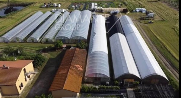 azienda agricola in vendita a Castiglione del Lago