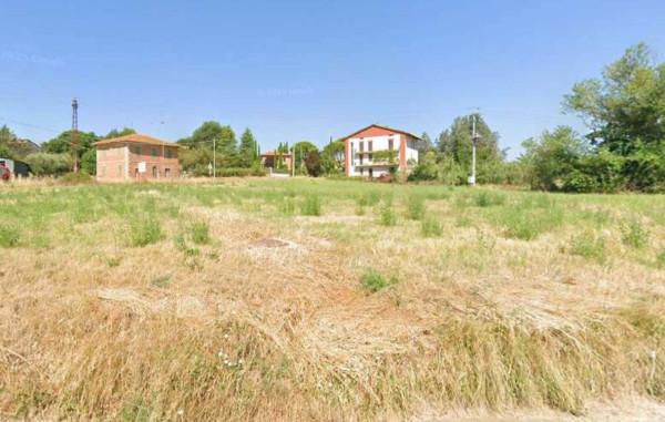 negozio in vendita a Castiglione del Lago