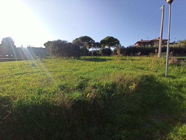 negozio in vendita a Castiglione del Lago