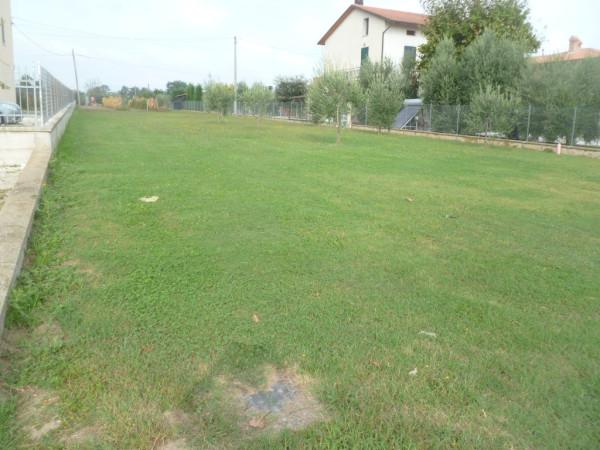 negozio in vendita a Castiglione del Lago