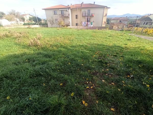 negozio in vendita a Castiglione del Lago