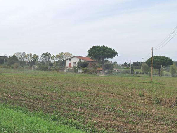 negozio in vendita a Castiglione del Lago