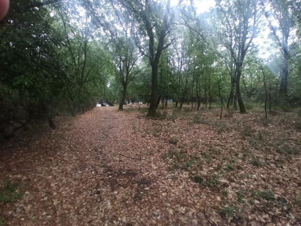 terreno agricolo in vendita a Castiglione del Lago