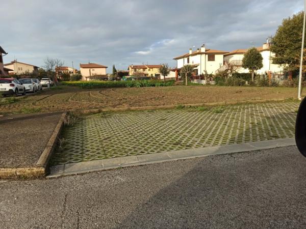 negozio in vendita a Castiglione del Lago