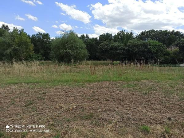 negozio in vendita a Castiglione del Lago