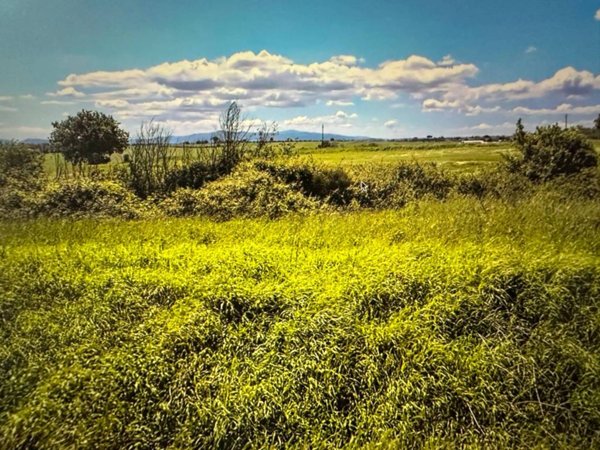 terreno agricolo in vendita a Castiglione del Lago