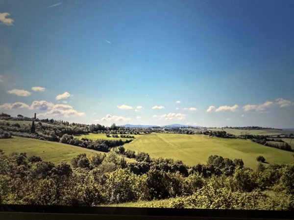 terreno agricolo in vendita a Castiglione del Lago