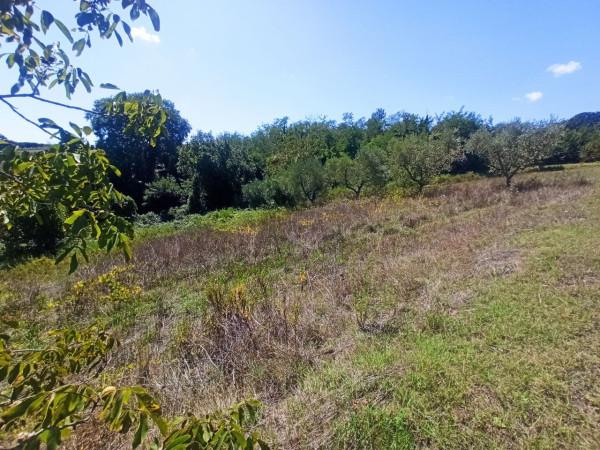 terreno agricolo in vendita a Castiglione del Lago in zona Gioiella