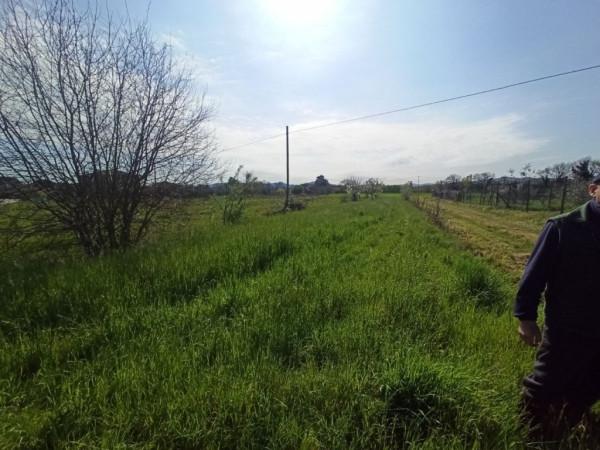 terreno agricolo in vendita a Castiglione del Lago