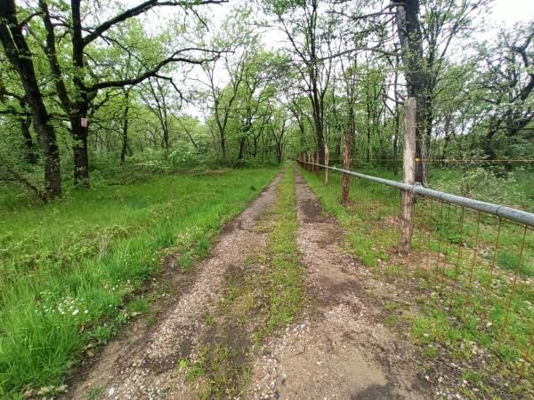 terreno agricolo in vendita a Castiglione del Lago
