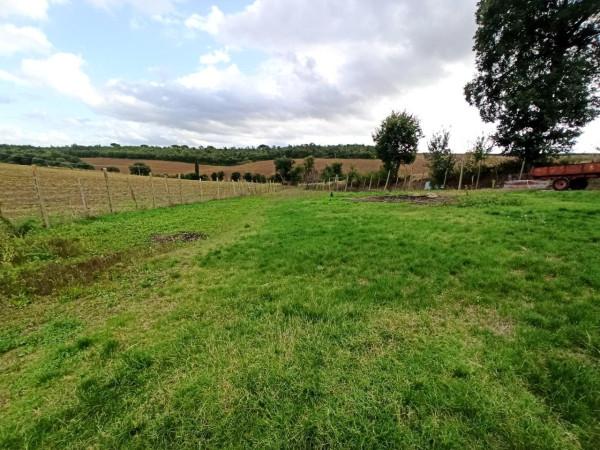 terreno agricolo in vendita a Castiglione del Lago