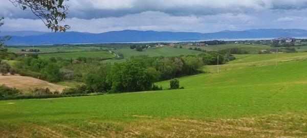 terreno agricolo in vendita a Castiglione del Lago