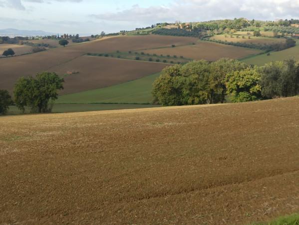 negozio in vendita a Castiglione del Lago
