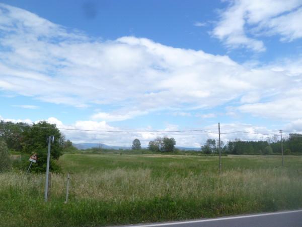 negozio in vendita a Castiglione del Lago