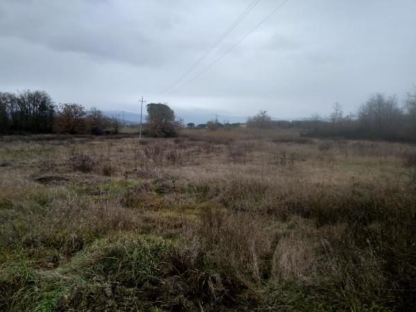 terreno agricolo in vendita a Castiglione del Lago