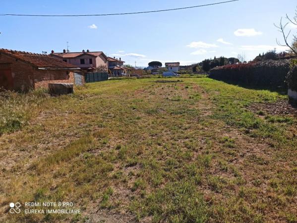 negozio in vendita a Castiglione del Lago