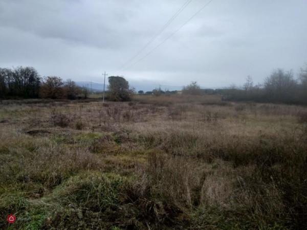 terreno agricolo in vendita a Castiglione del Lago