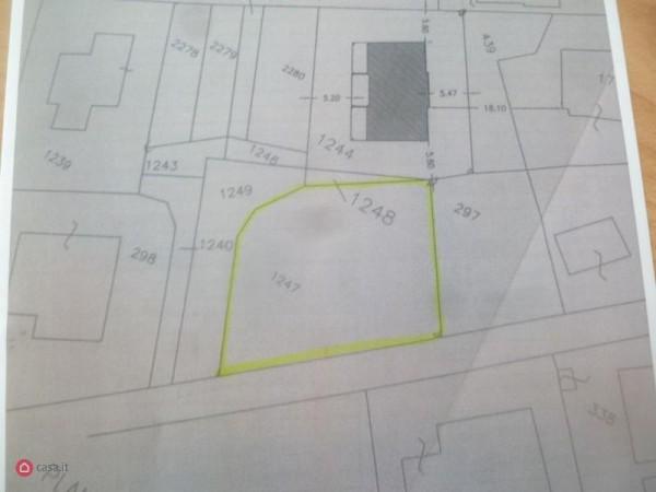 negozio in vendita a Castiglione del Lago