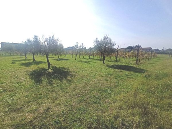 terreno edificabile in vendita a Castiglione del Lago