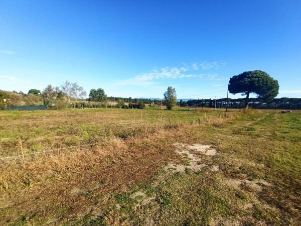 negozio in vendita a Castiglione del Lago