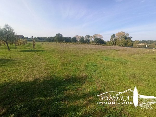 terreno edificabile in vendita a Castiglione del Lago
