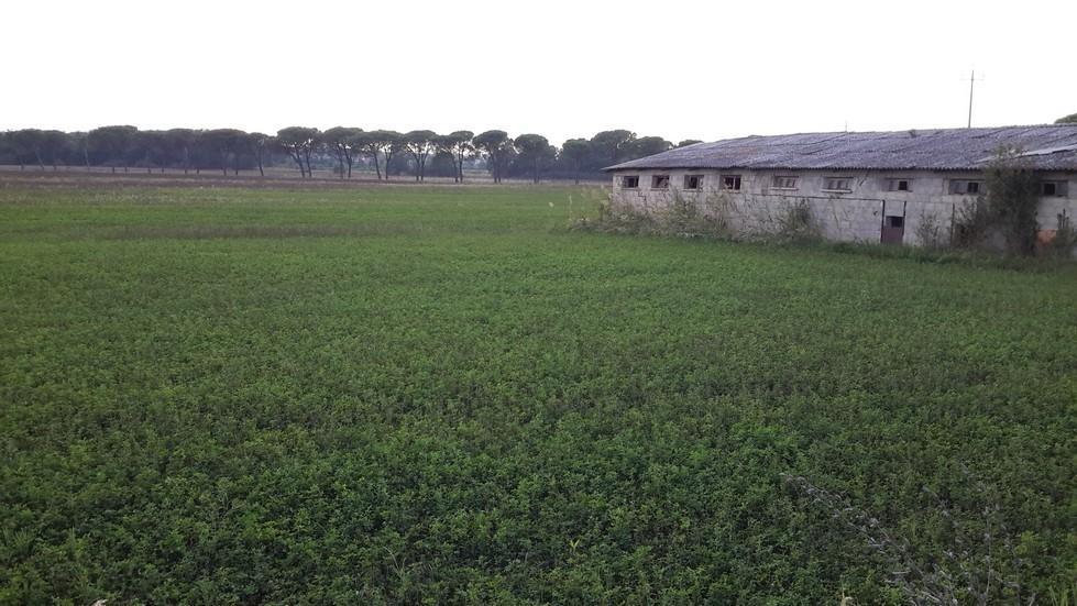 casa indipendente in vendita a Castiglione del Lago