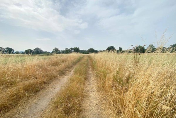 negozio in vendita a Castiglione del Lago