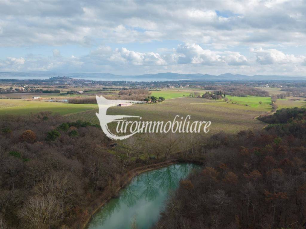 negozio in vendita a Castiglione del Lago